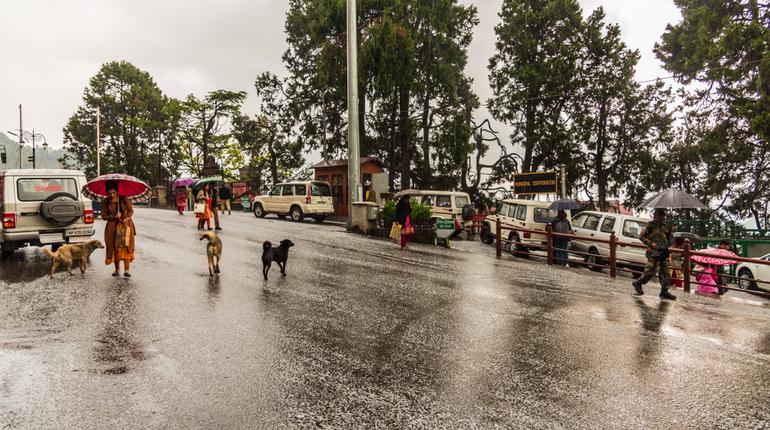 Shimla