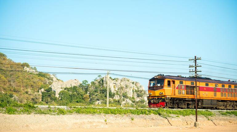 Local train passes through the yellow field.