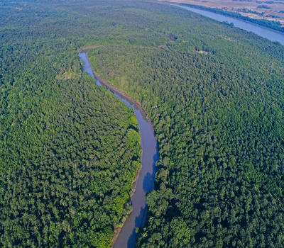 14.Mangroves and Creek of Bhitarkanika (1)